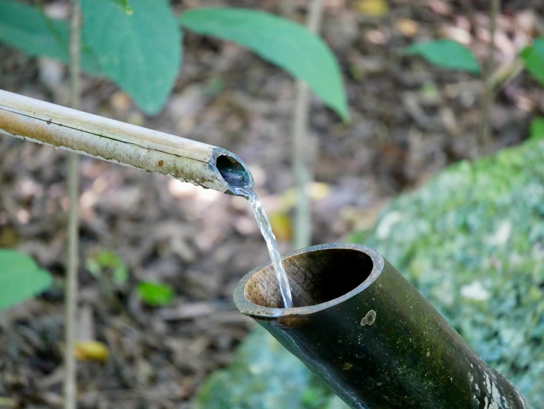 Jakość wody w studniach - jak ją rozpoznać i o co pytać?