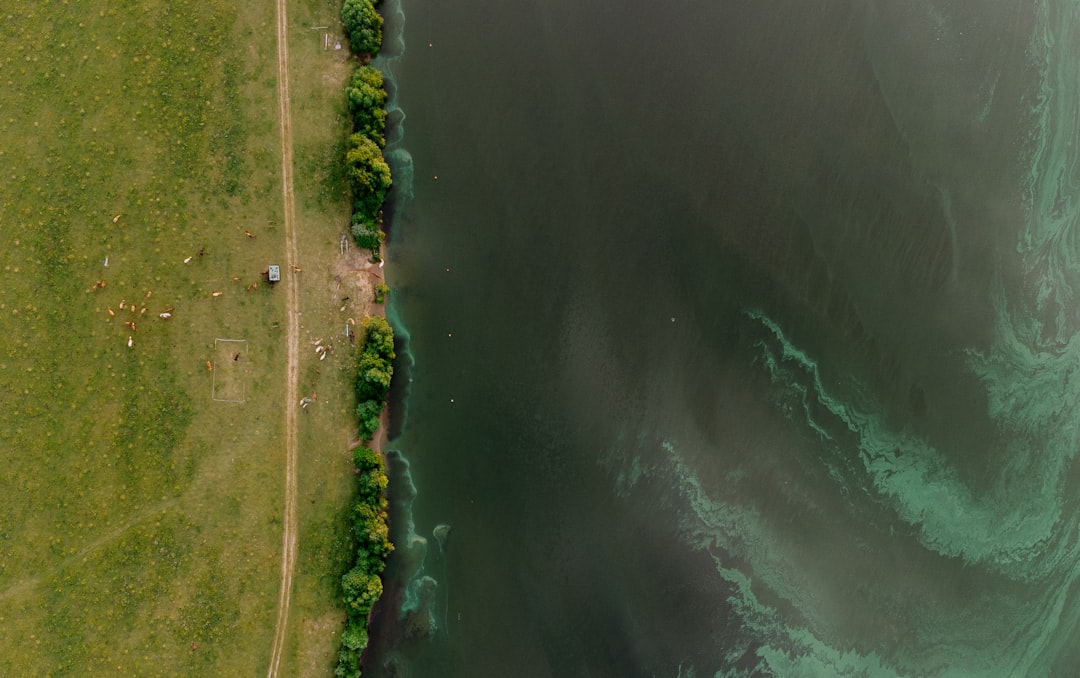 Jeziora w Szczecinie - znaczenie dla mieszkańców i krajobrazu miasta