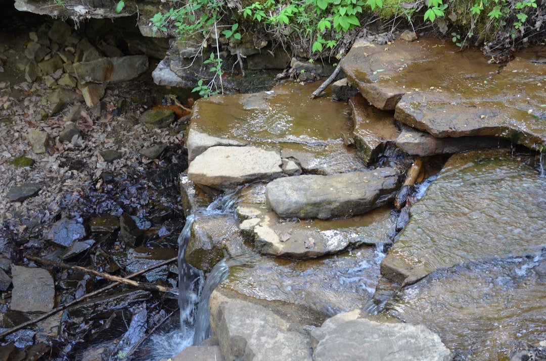 Ochrona wód gruntowych przed zanieczyszczeniami - jak o nie dbać?