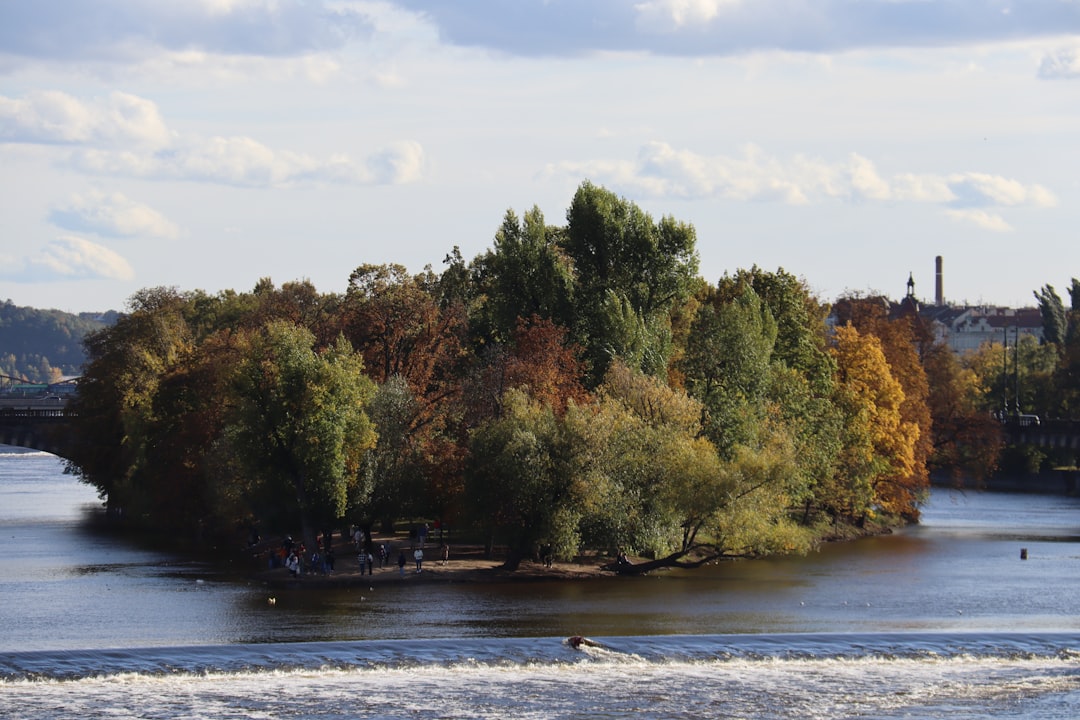 Rzeka Płonia – poznaj jej rolę w krajobrazie i historii Szczecina