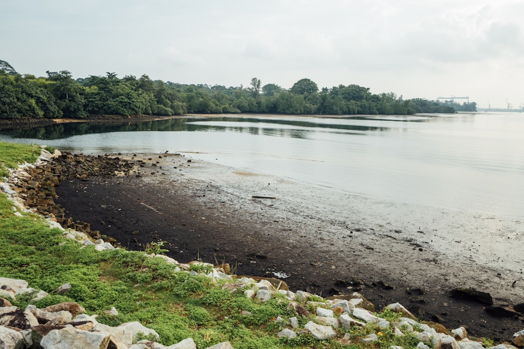 Skutki zanieczyszczeń wód dla przyrody. Jakie są rodzaje zanieczyszczeń?