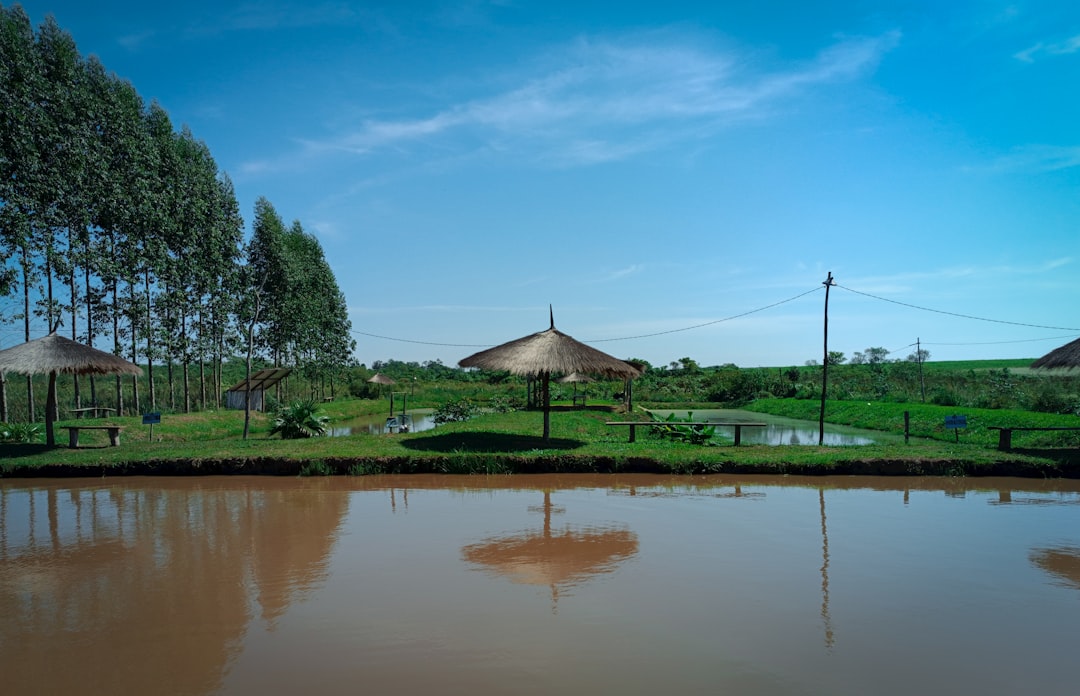 Zbiorniki retencyjne w miastach - ochrona przed podtopieniami